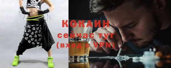шишки Нефтекумск