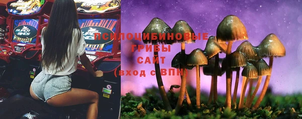 ПСИЛОЦИБИНОВЫЕ ГРИБЫ Нея