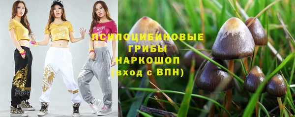 ПСИЛОЦИБИНОВЫЕ ГРИБЫ Нея