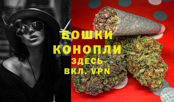 шишки Нефтекумск
