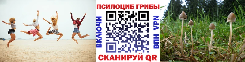 Галлюциногенные грибы Psilocybine cubensis  Купить  Семёнов 